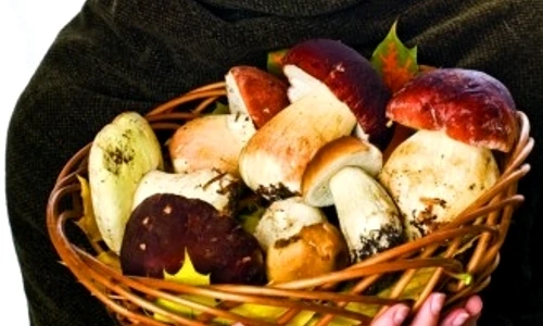 1 65010 original jpg jpeg