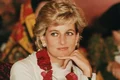 4 printesa diana 2 jpg jpeg