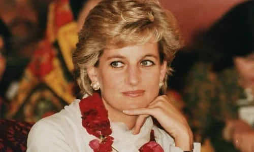4 printesa diana 2 jpg jpeg