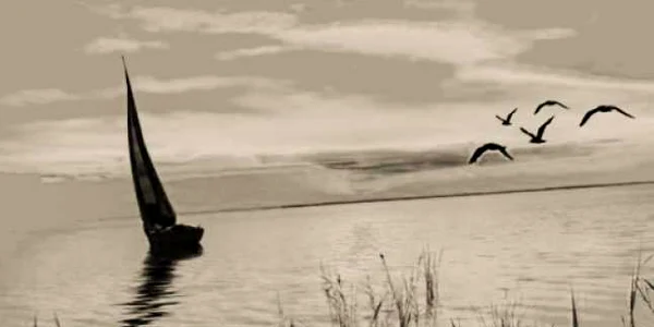 lac ciuperca
