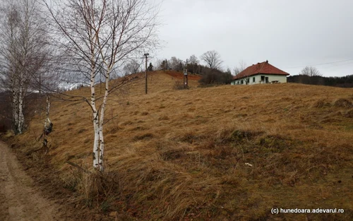 prihodiste muntii orastiei foto daniel guta adevarul