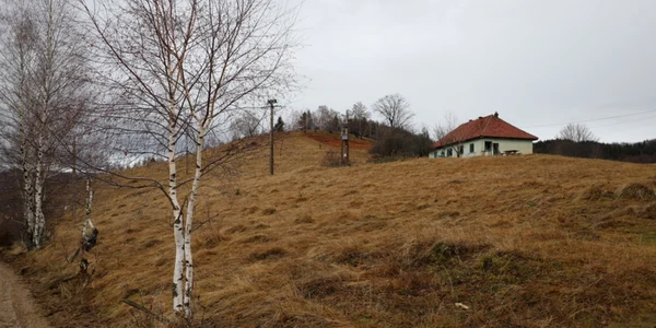 prihodiste muntii orastiei foto daniel guta adevarul