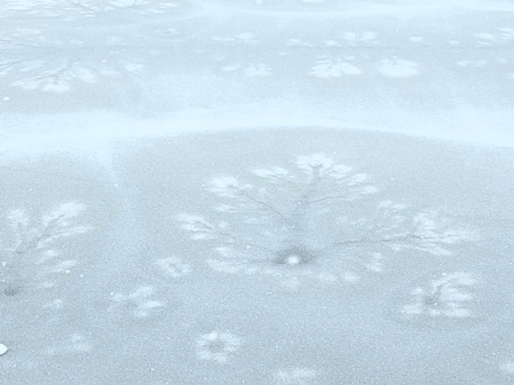 Gravuri naturale pe Lacul Beliș: Foto: Raul Ghiran, președintele Rescue Transilvania
