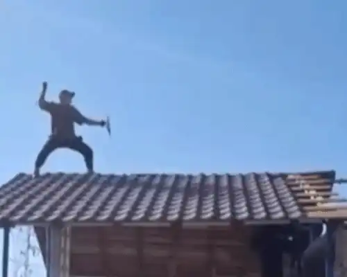 Ninja gif