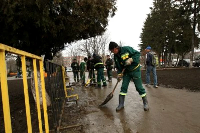 Patinoar Olimpic Brasov 4