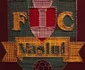 tablou fc vaslui