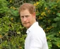 Prince Harry Visits The Caribbean Day 3 jpeg