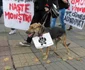 Miting împotriva eutanasierii câinilor din Timişoara FOTO Ştefan Both