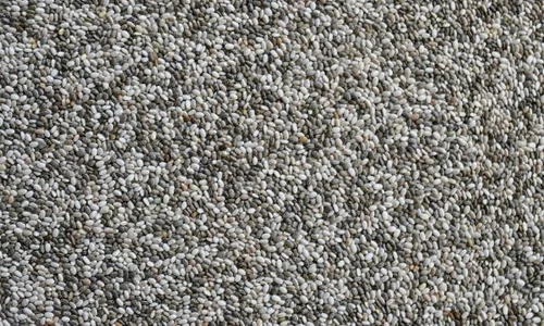 seminte de chia jpeg