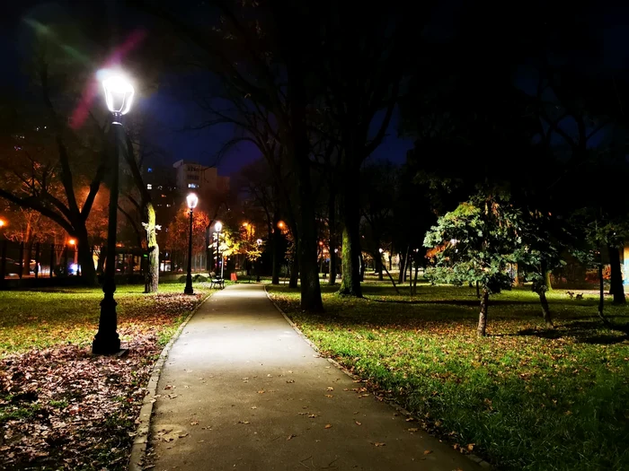 Parcul Botanic din Timișoara FOTO Facebook/Dominic Fritz