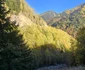 Drumul spre Lacul Gura Apelor  Foto Daniel Guță ADEVĂRUL (1) jpg