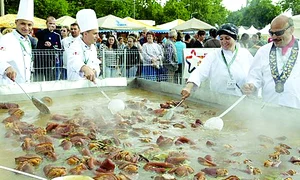 CLIIMA20110702 0230 1 jpeg