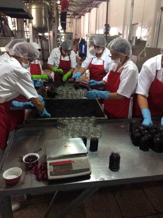 Dulceaţa naturală de Aronia. Cum a obţinut mămica magiunului de Topoloveni un produs dulce,dintrun fruct amărui, fără să adauge pic de zahăr