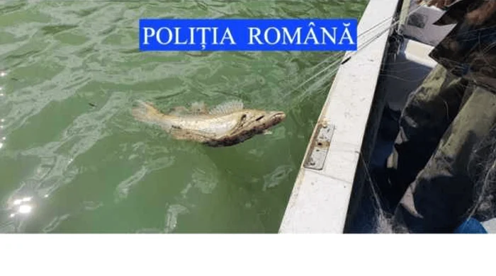 Braconieri sunt identificați frecvent pe lacul de la Bicaz FOTO Poliția Română