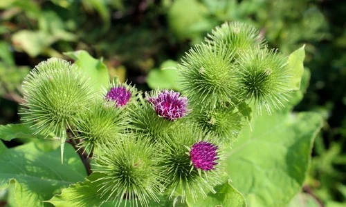 1 shutterstock 217430140 jpg jpeg