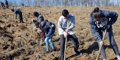 Plantare de pădure la mănăstirea Cârlomăneşti FOTO Daniel Lare