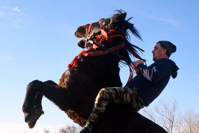 Între tradiție și cruzime, bunăstarea animalelor devine esențială. FOTO: Mediafax / Alexandru Dobre