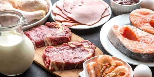 Rolul proteinelor în alimentaţie