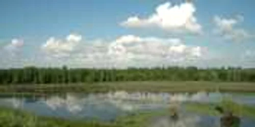  Parcul Natural Lunca Mureşului va fi gazda evenimentului 