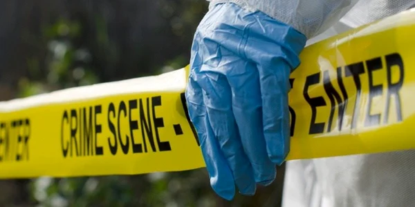 criminalist jpg