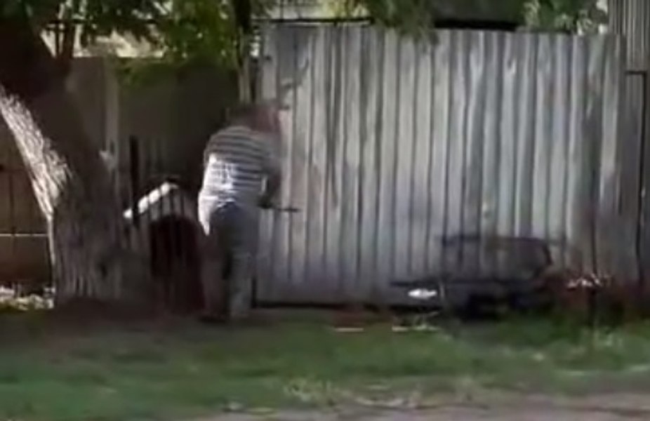 Câine omorât cu sapa de stăpân. Atenție, imagini cu puternic impact emoțional! VIDEO 