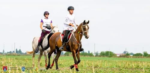 Daniel împreună cu iapa Everta Foto Daniel Bâliș jpeg