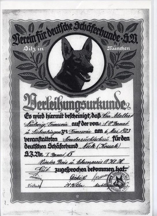 Prima diploma canină