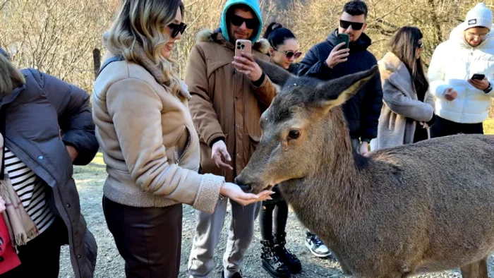 Turistă încântată de experiența trăită.