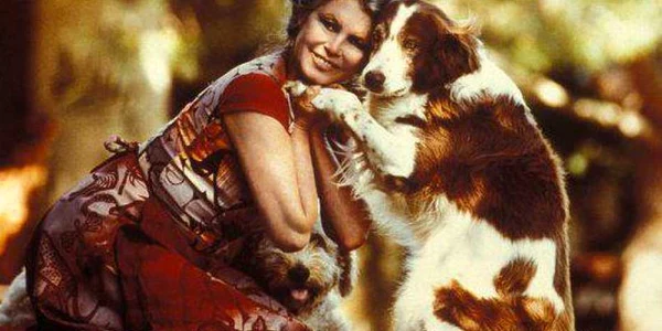 brigitte bardot cainii maidanezi FOTO Facebook 