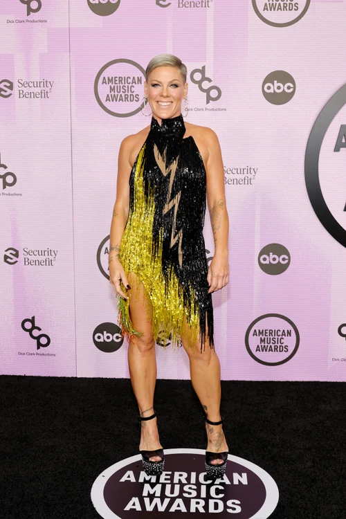 Pink, AMA 2022, GETTY jpg