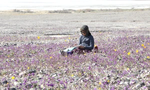 valea mortii profimedia (2) jpg