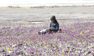 valea mortii profimedia (2) jpg