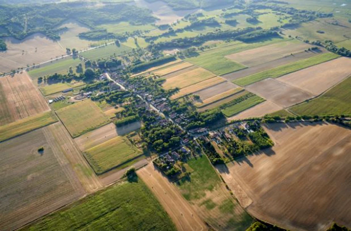 Gardul electric în agricultură: cum poate fi utilizat pentru a proteja culturile - Sursa foto: Pexel