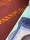 pasaport visa sua america