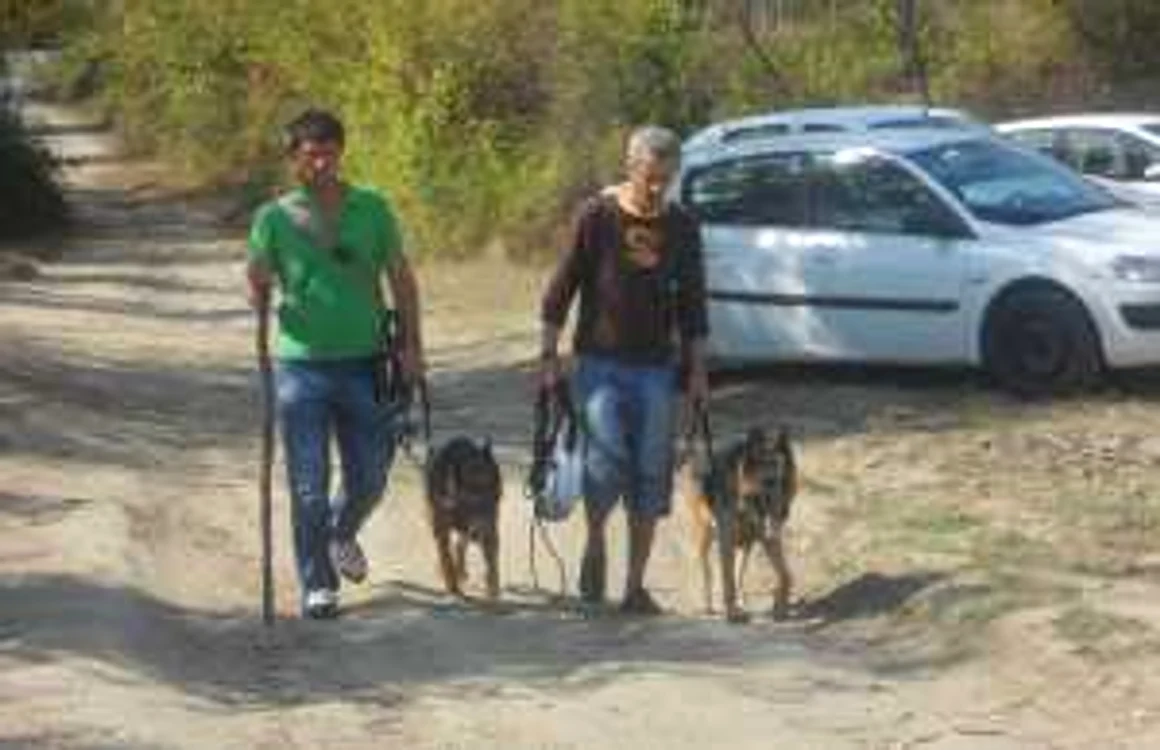 Câinele Roco l-a găsit pe copil