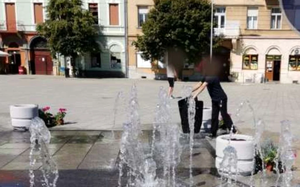 O femeie a spălat covoarele mașinii în fantâna arteziana FOTO: Poliția Locala