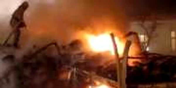 Incendiile de lângă Atena, dezastre ecologice