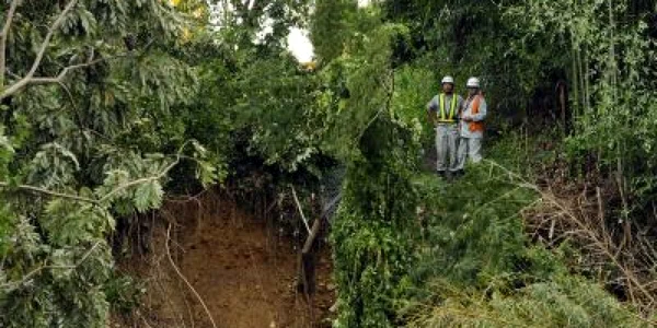 Grecia: seism de 4,4 grade pe scara Richter la 40 km vest de Atena (AFP)
