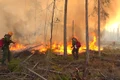 incendiu padure jpeg