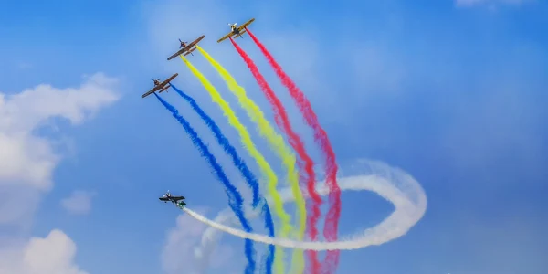 iacarii acrobati BIAS jpg