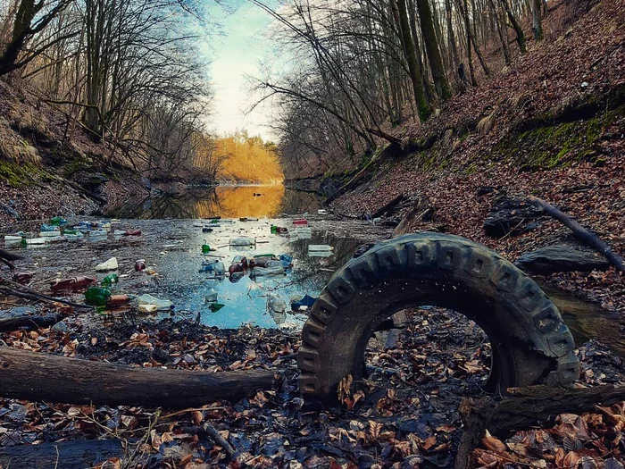 Ape poluate. Foto: Daniel Guță. ADEVĂRUL