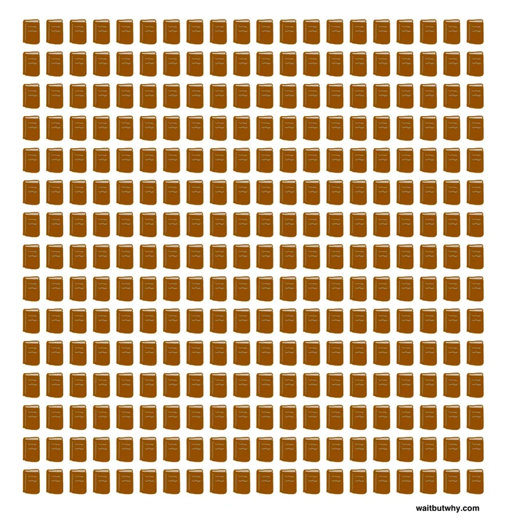
    foto: waitbutwhy.com  