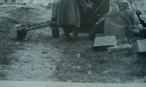 historia ro undefined jpeg