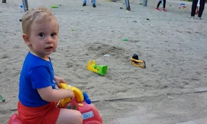 Copiii care se joacă în aer liber și sunt expuși polenului de ambrozie au un risc foarte crescut de îmbolnăviri  jpeg