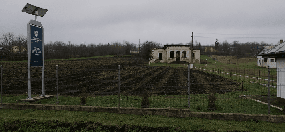 Locul de unde vine materia primă pentru un vin românesc unicat. Este o tradiție boierească veche de sute de ani