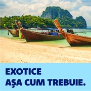 imagine principala png