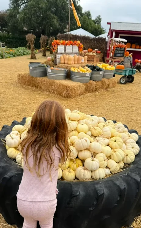 Archie, Lilibet, Montecito (1) png