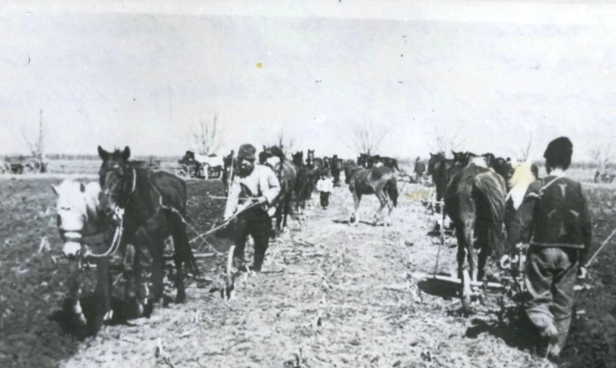 Proprietăţile mai mari de 50 de hectare erau expropriate
