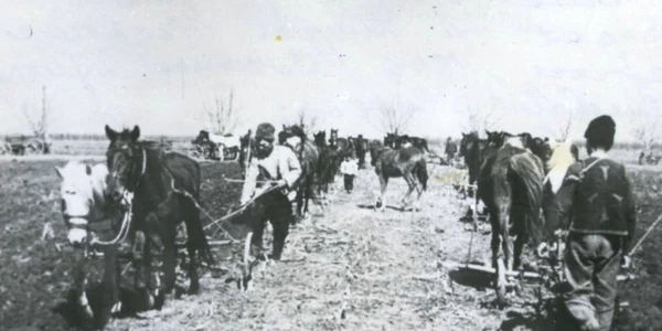 reforma agrara 