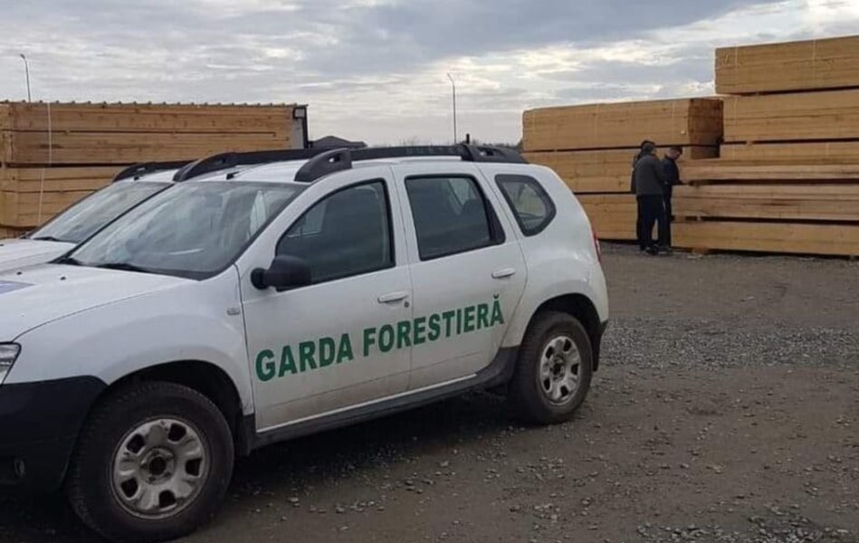 Guvernul reorganizează Garda Forestieră: mai mulți angajați în teren și posturi suplimentare